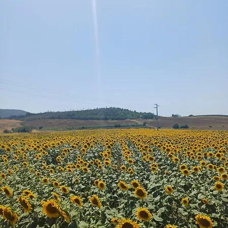 Il Poggio Rosso Di Maremma Apartment *