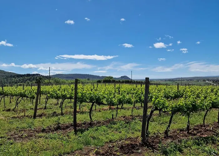 Il Poggio Rosso Di Maremma アパート *