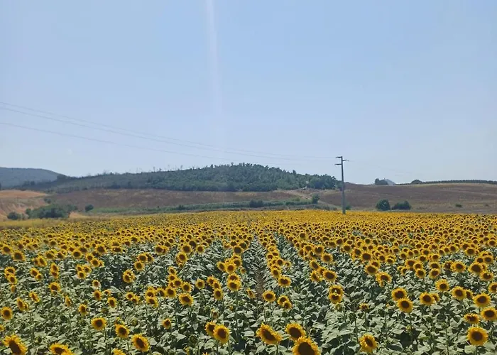 Il Poggio Rosso Di Maremma アパート *